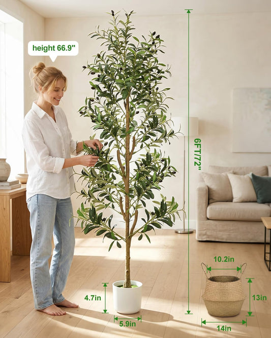 Olive Trees Artificial Indoor 6Ft Tall Faux Plants Large Fake Olivos Tree | Dynamic Lighted Decor,With White Planter & Woven Basket,Realistic Branches and Fruits For Home Hotel Lobbies Office