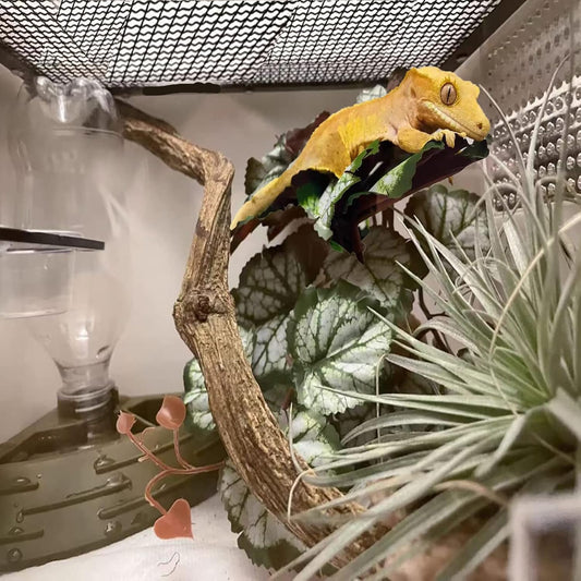 Artificial Reptile Plants for Terrarium, Habitat Decor, Fake Plant