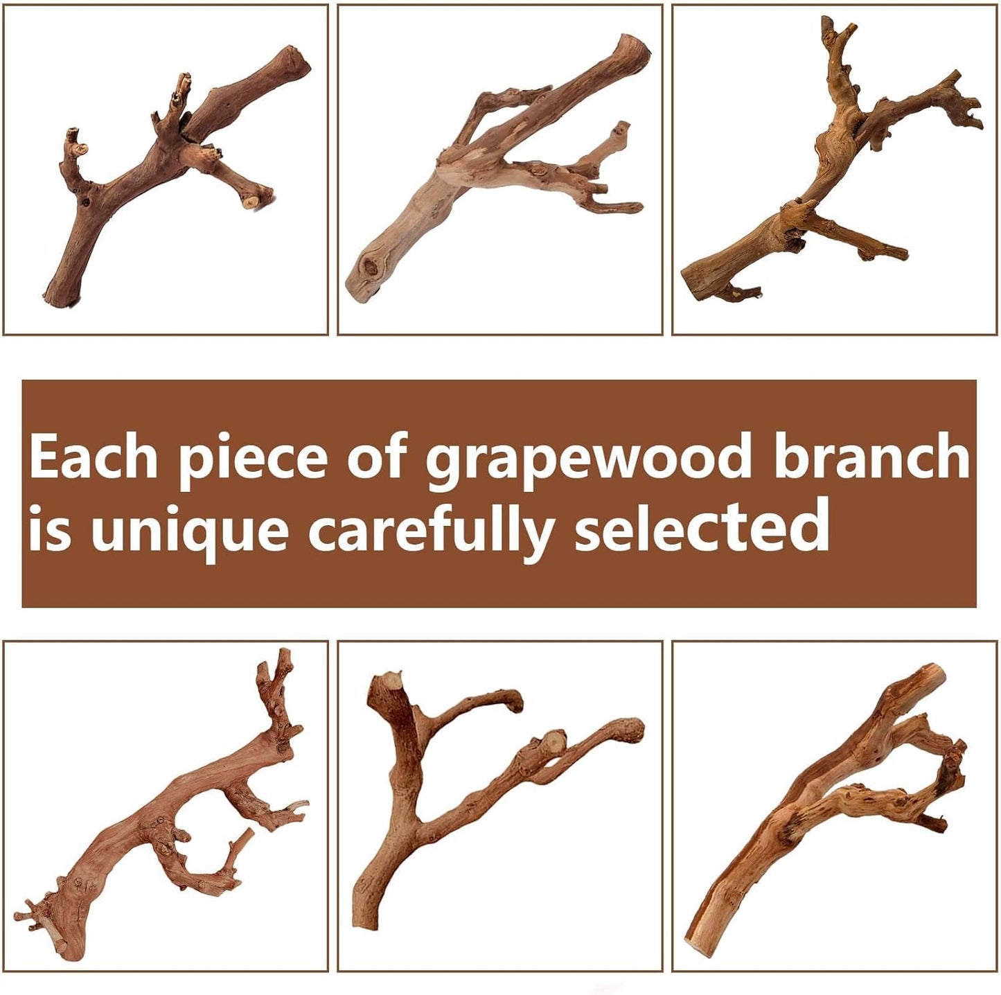 2PCS Reptile Wood Branches Decor,Lizard Habitat Natural Wood Decoration,Snake Climbing Branch Accessories,Terrarium Tree Trunk Ornament for Bearded Dragon Gecko Frog Chameleon Spider