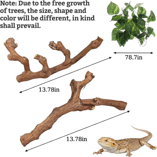 Snake Climbing Branch, 2Pcs Reptile Wood Natural Cork Log Tank Accessories Tree Trunk for Chameleon Bearded Dragon Gecko Snake Frog Spider