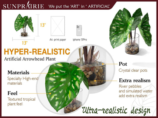 Tropical Artificial Plant in Clear Pot with Artificial Water, Wide Arrowhead Leaves. Faux Plants Indoor and Outdoor