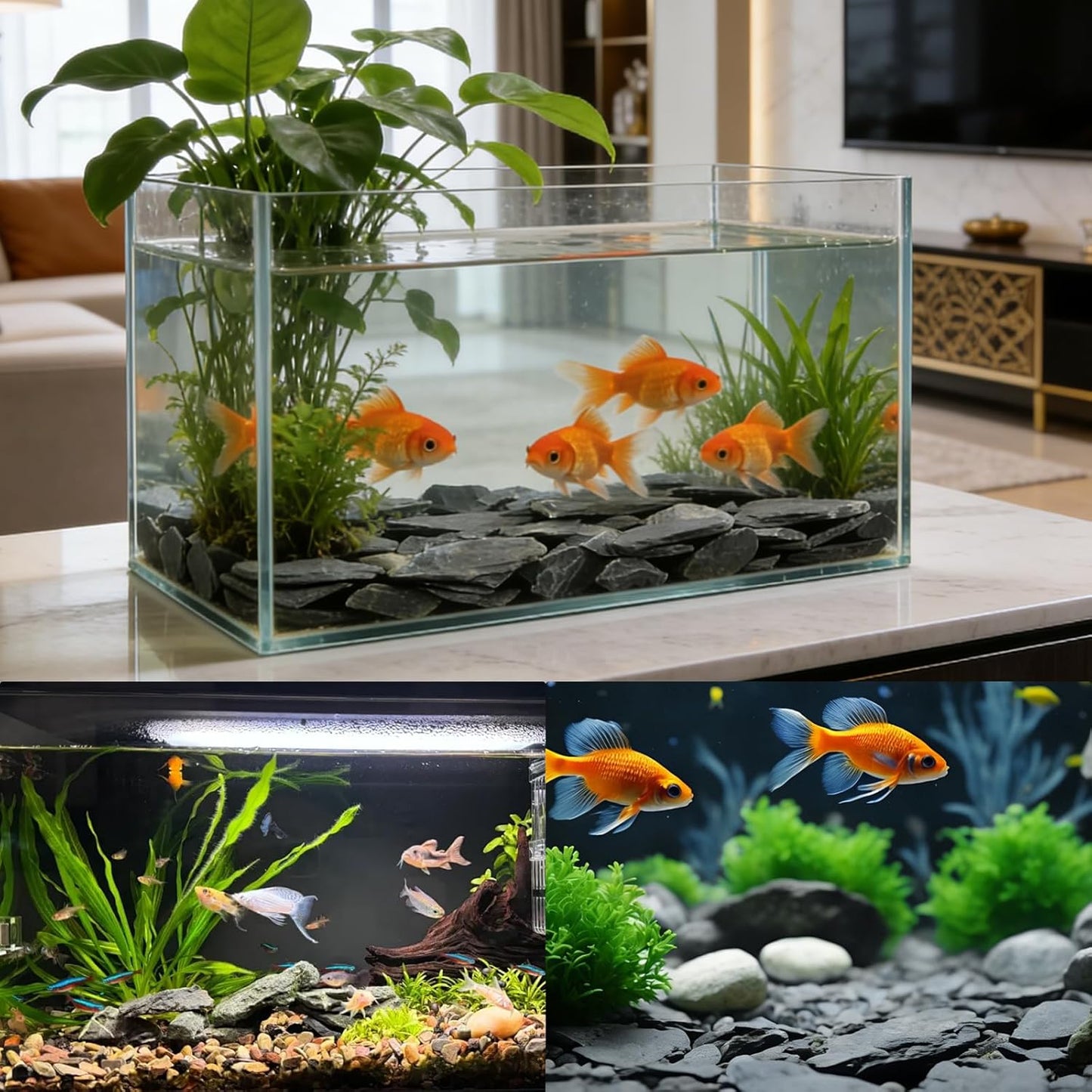 2.5lb Natural Dragon Stones, Aquarium Rocks Decoration Aquascaping Stone Landscaping Model for Fish Tank Decor Terrariums Paludariums Reptile Enclosures Gardens, 2-4 inches