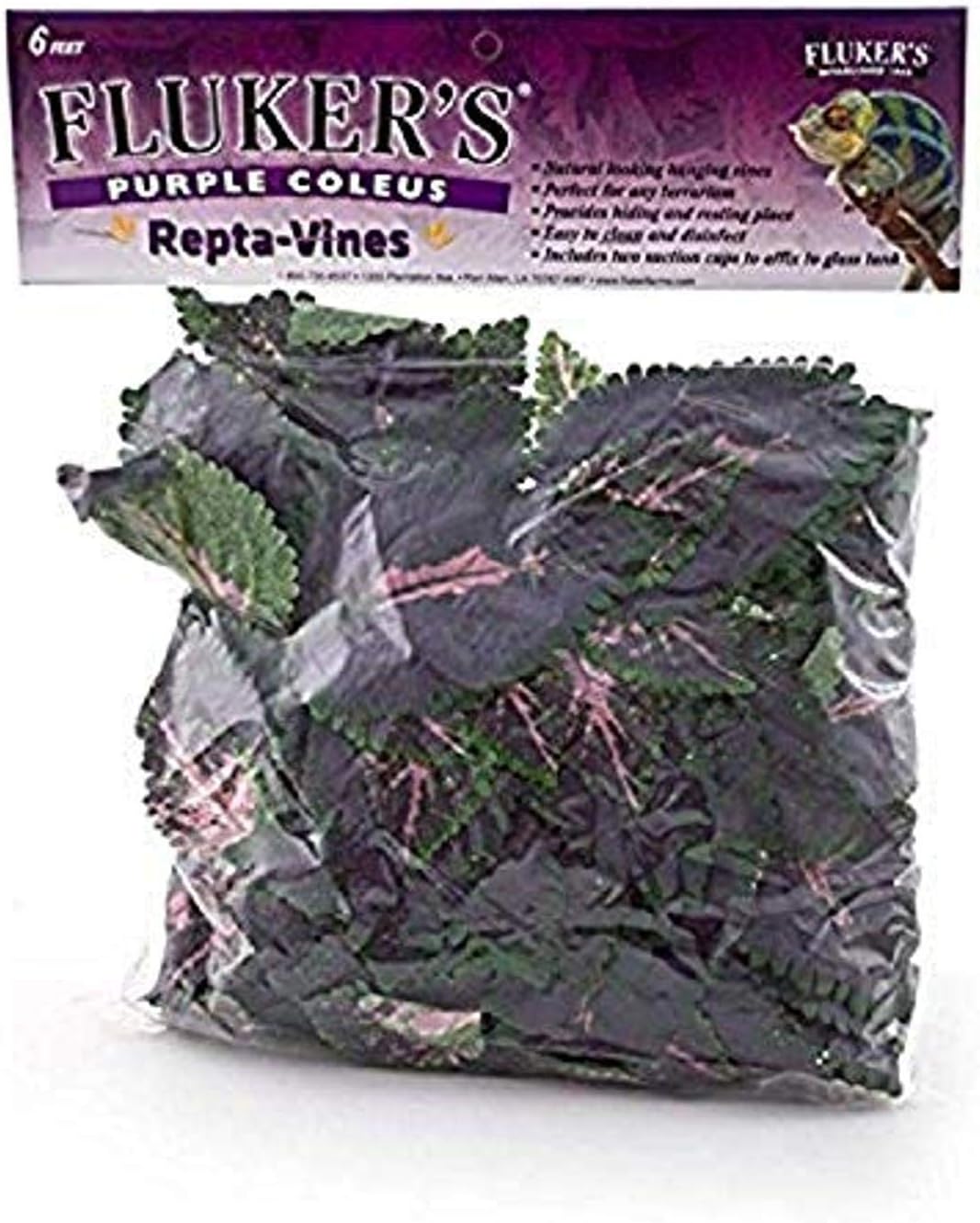 Repta Vines for Reptiles and Amphibians Terrariums, Pothos
