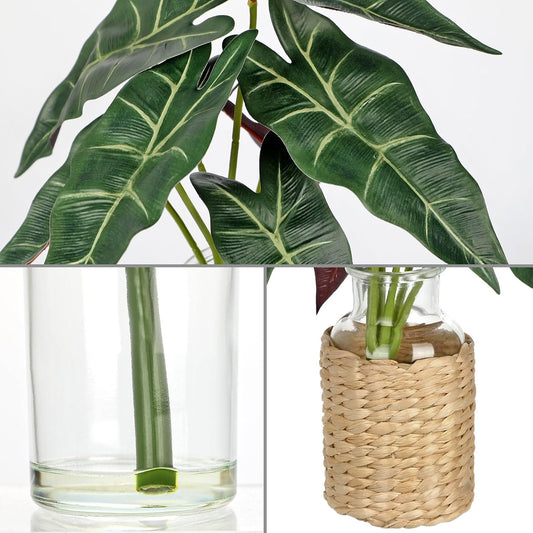 2 Packs Real Touch Faux Alocasia Plants in Vase with Woven Sleeve & Faux Water, 10.6" Small Fake Plants Artificial Alocasia Silk Plants for Home Decor, Kitchen Bathroom Living Room Table Centerpiece