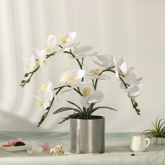 Potted Artificial Orchid Flowers,Real Touch White Fake Artificial Orchid Flower in Silver Vase Arrangement for Table Living Room Decoration (White,Silver Vase)