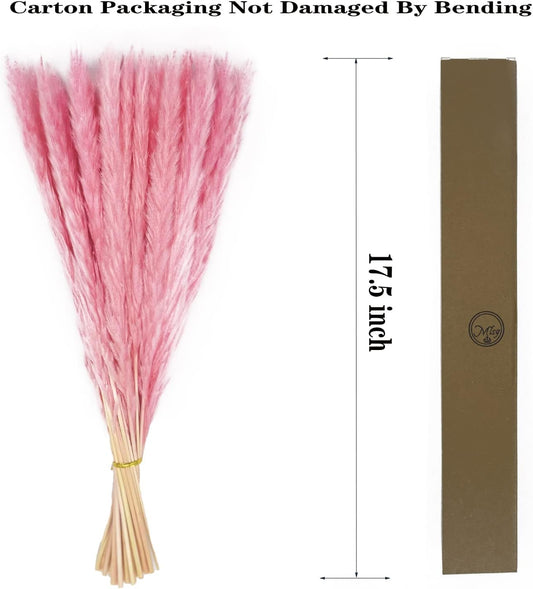 60 Stems Pampas Grass 17.5",Natural Dry Flowers Small Pampas Grass Branches for Vase Flower Arrangement Wedding Kitchen Home Decor(Pink)