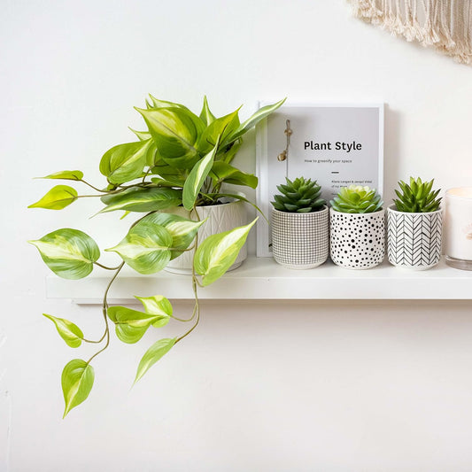 Light Green Fake pothos Plant | Fake Plant for Shelf Decor | Artificial Trailing Ivy Plant with 5" Wide Ceramic Pot | Faux pothos | Feaux Pothos
