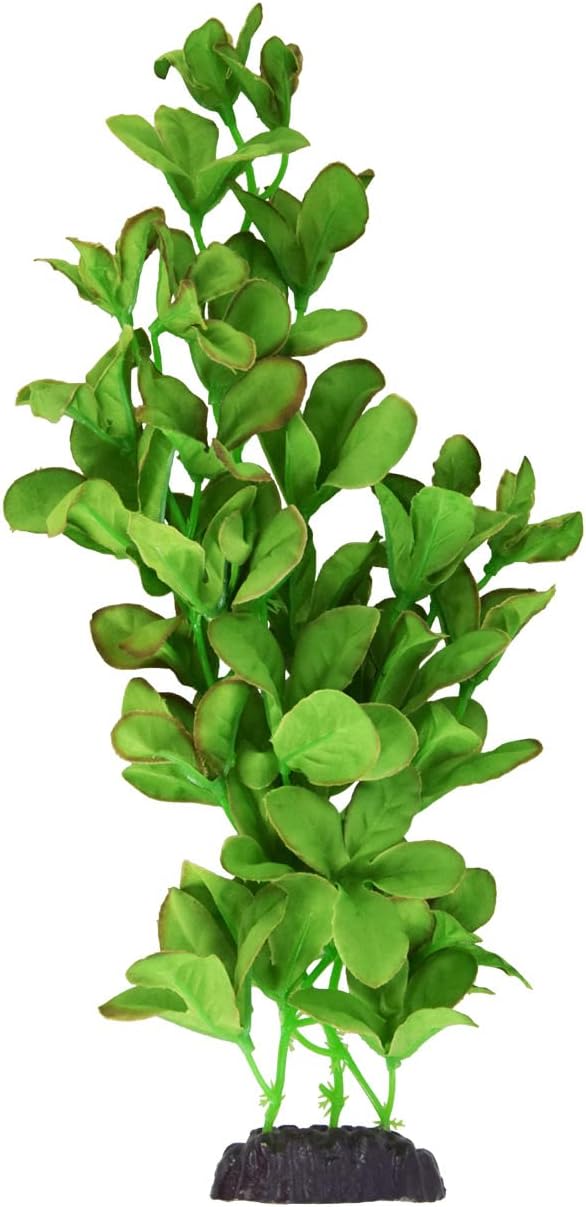 Silk Bacopa Monnieri - 12"