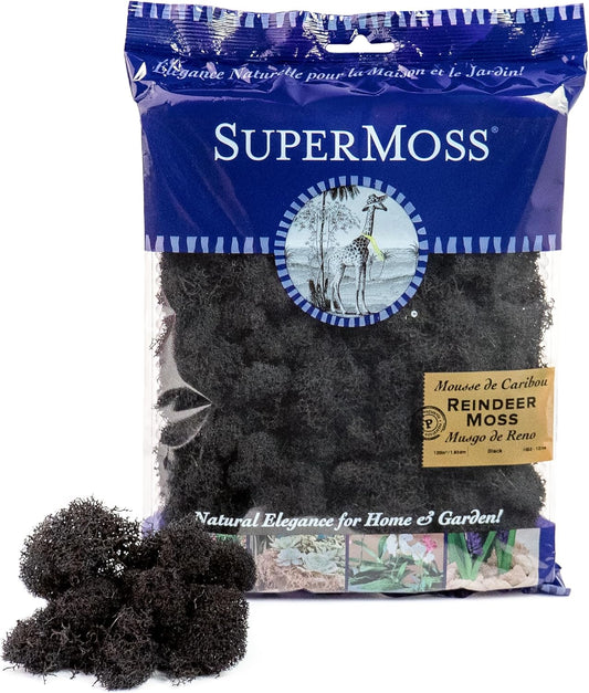 21669 Reindeer Moss Preserved, Chartreuse, 8oz (200 cubic inch)