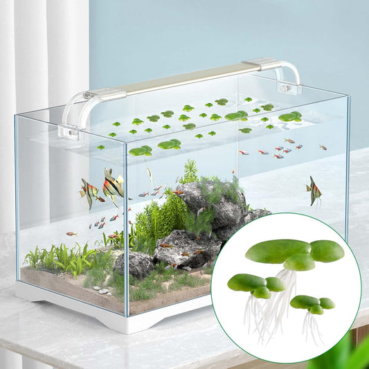 54pcs Floating Aquarium Plants, Plastic Fake Duckweed, Artificial Floating Plant for Aquarium(1.57x1.73inch / 40x44mm, 0.86x0.86inch/22mmx22mm, 0.59x0.59inch/15x15mm)