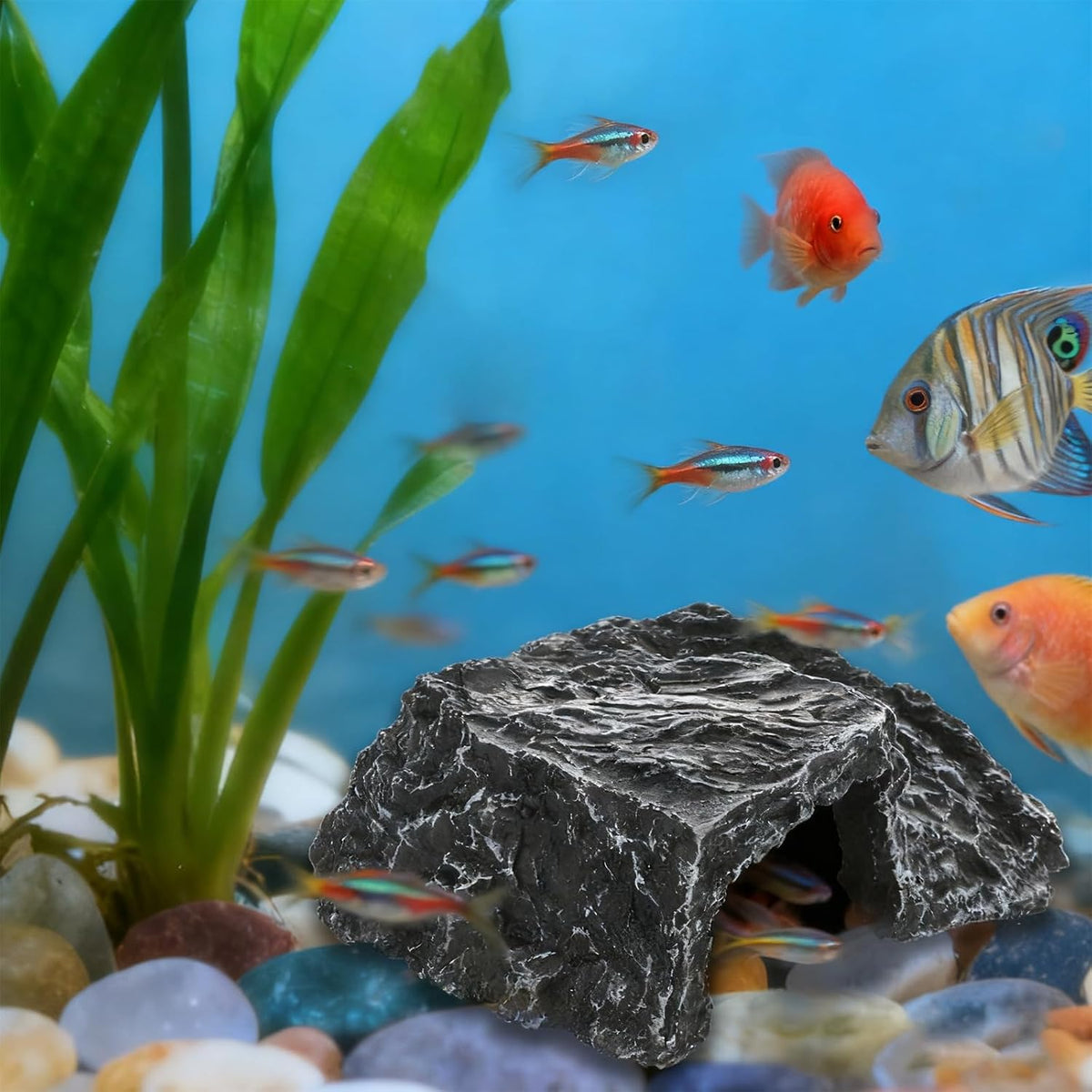 Tarantula Hide Aquarium Decorations and basking Platforms
