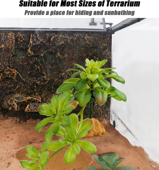 Reptile Plants for Desert Terrarium,Habitat Decor,Succulent Plant