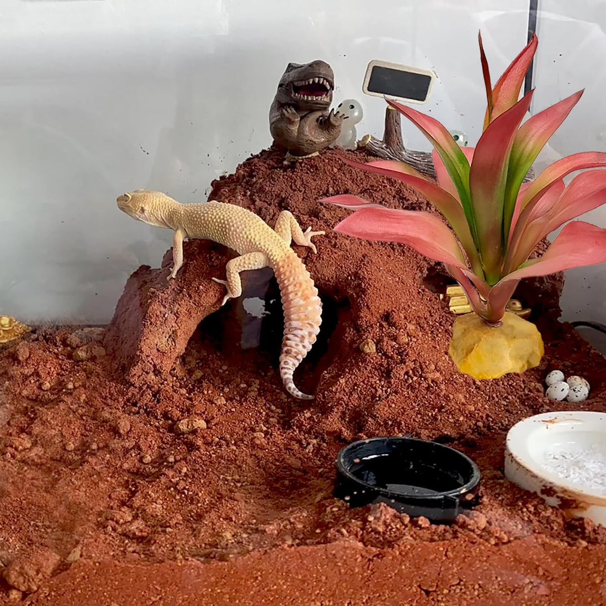 Reptile Plants for Desert Terrarium,Habitat Decor,Succulent Plant