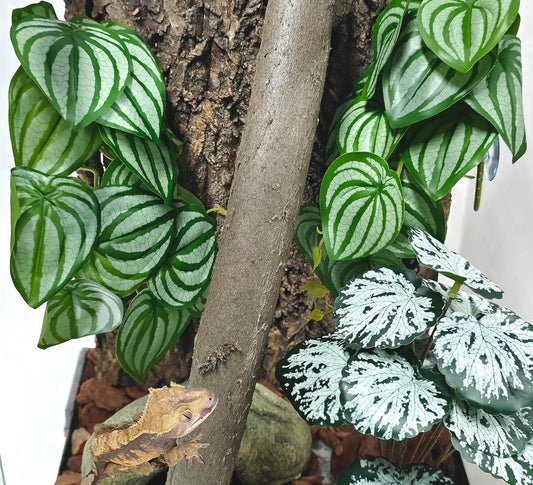 Reptile Plants for Terrarium, Artificial Hanging Plants with Suction Cups, Amphibian Tank Habitat Decor Plastic Plant for Bearded Dragons Lizards Snake Geckos Frogs - 2Pack Fake Monstera