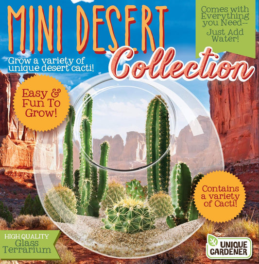Cactus Succulent Glass Terrarium Starter Kit from - Grow Your Own Indoor Desert Terrariums - Includes Live Cacti Plants and Easy Setup with Complete Terrarium Supplies