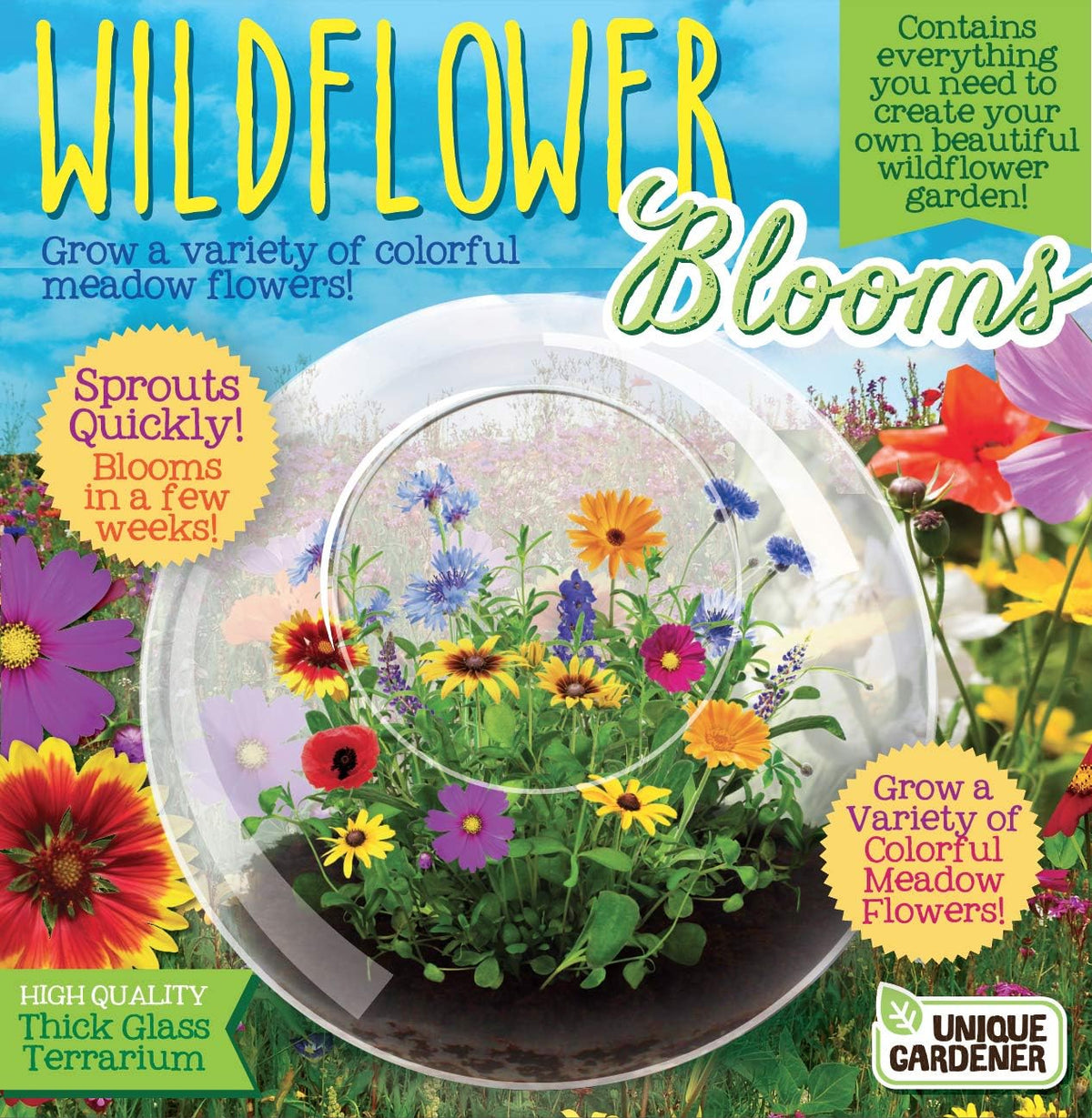 Cactus Succulent Glass Terrarium Starter Kit from - Grow Your Own Indoor Desert Terrariums - Includes Live Cacti Plants and Easy Setup with Complete Terrarium Supplies
