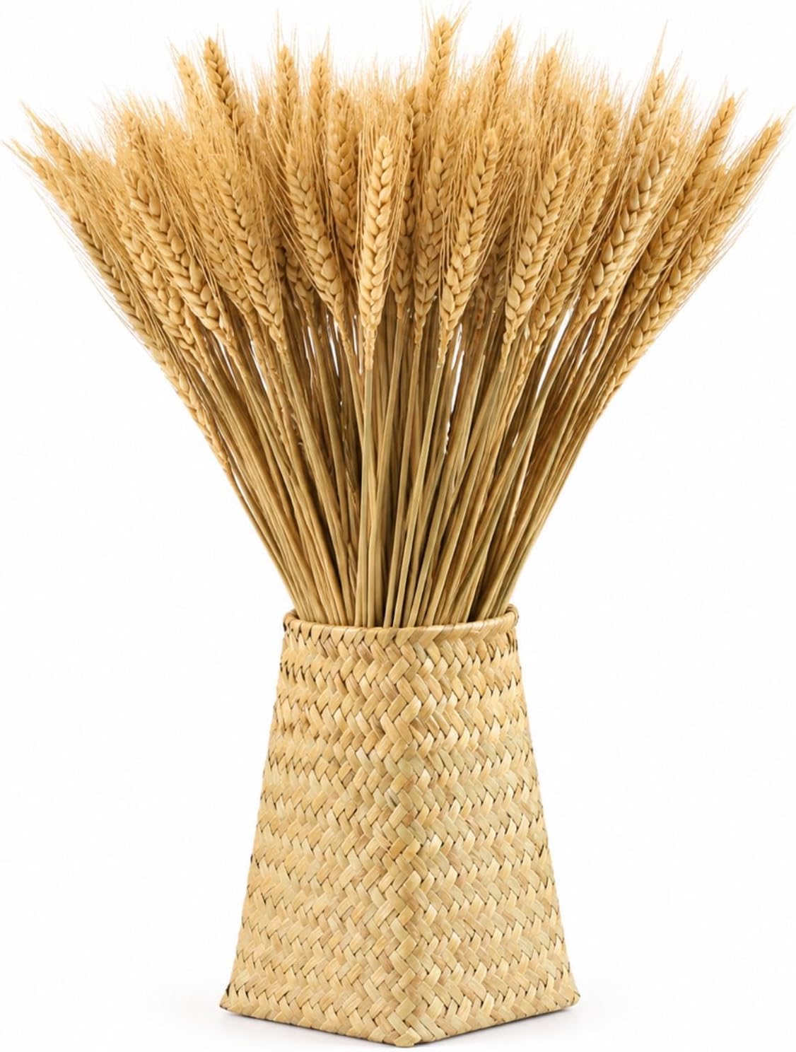 300 Stems Dried Wheat Stalks, 16 Inch Natural Wheat Sheaves Fall Arrangement for DIY Craft, Home Table, Wedding Decor