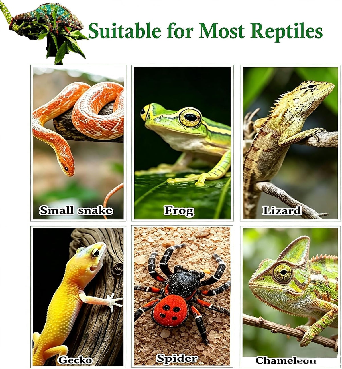 Reptile Artificial Plants Terrarium Decor, Fake Desert Plants Bearded Dragon Tank Decorations Accessories fit Crested Gecko Leopard Lizard Chameleon Ball Python Snake Frog - Tillandsia