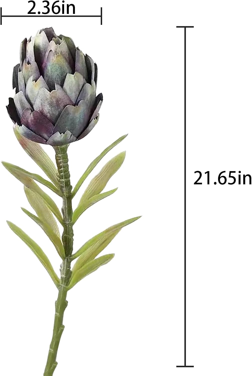 3Pcs 21.7" Artificial King Protea Flowers Fake Protea Cynaroides