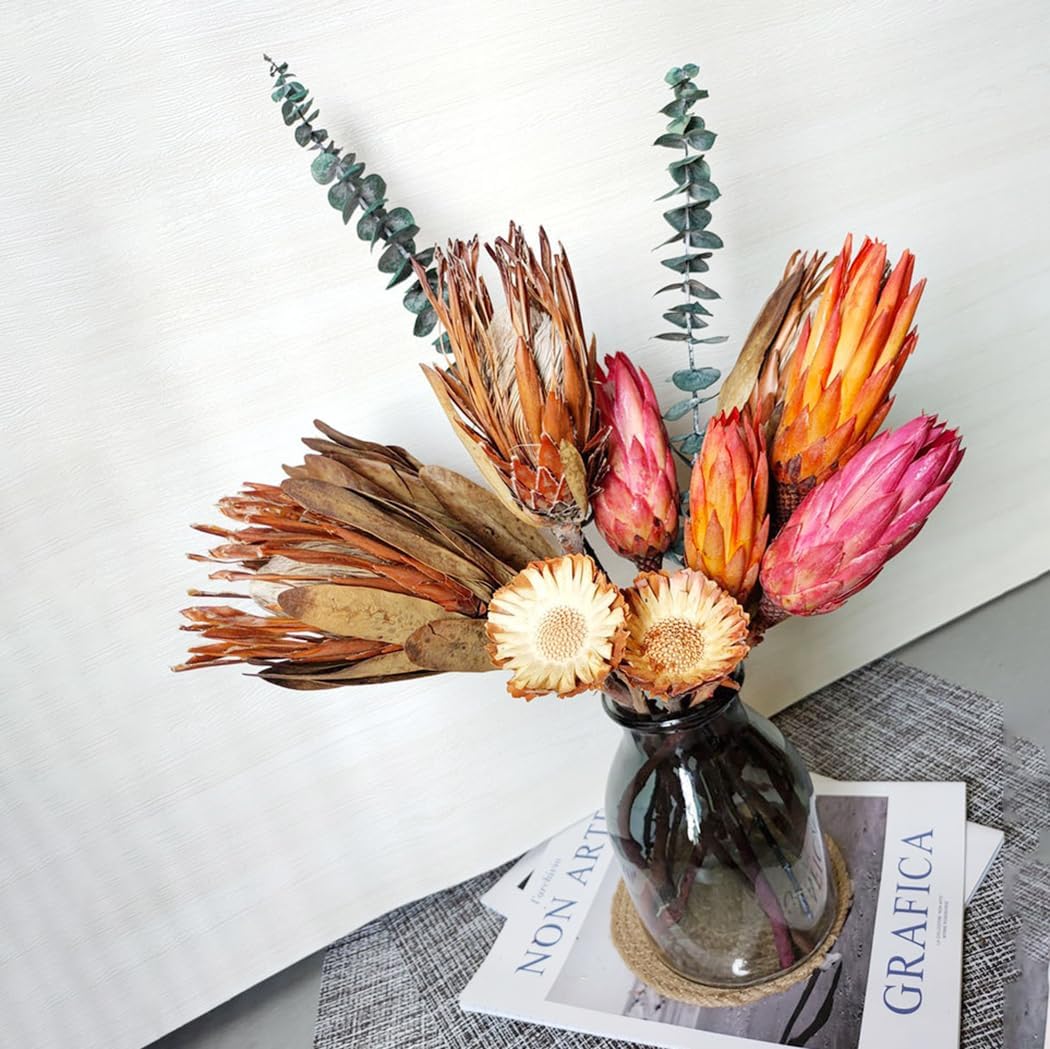 4 stems Dried Protea Flower 14 ‘’ Dried Plant, Preserved Flowers for Vase Filling, Dried Flower Arrangements, Centerpiece Decor,indoor decor,Home Decoration, Wedding Bouquet Plants Decor