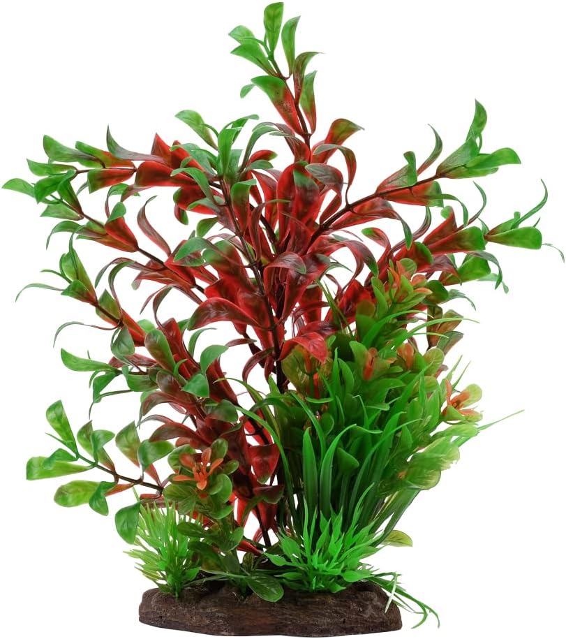 Aqualife Ludwigia and Dwarf Sagittarius Mix