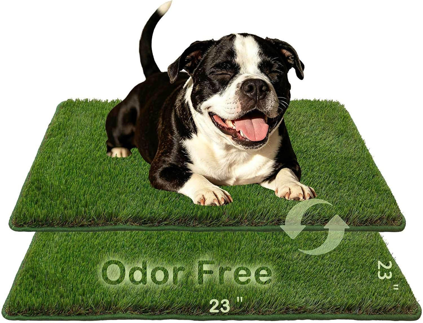 Artificial Grass,Odor Free Dog Grass Mat,Puppy Potty Training Pad | Strong Absorbency Grass Pad with Countless Drainage Holes,Soft,Realistic,Hemmed Edge,Easy to Clean(2PCS)