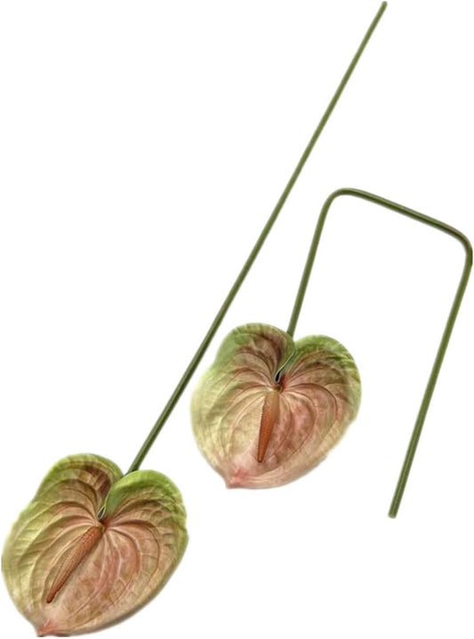 8pcs Artificial Anthurium Flowers Lifelike Flower 5.5" Head for Table Centerpieces Bridal Wedding Festival Christmas Hotel Home Floral Decor (champagn)