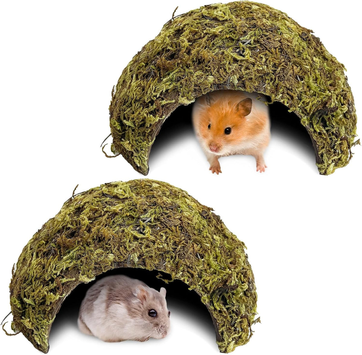 Hamster Hideout Natural Mossy Cave Hamster Houses and Hideouts Moss Covered Coconut Enclosed Hiding Hut for Mice Habitat Hamster Cage Accessories for Dwarf Gerbil Syrian Fancy Mouse