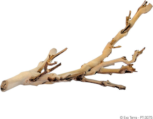 Forest Branch Small - Natural Wood Terrarium Decoration