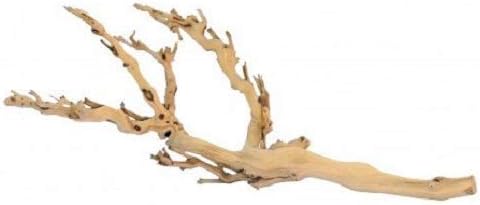 Forest Branch Small - Natural Wood Terrarium Decoration