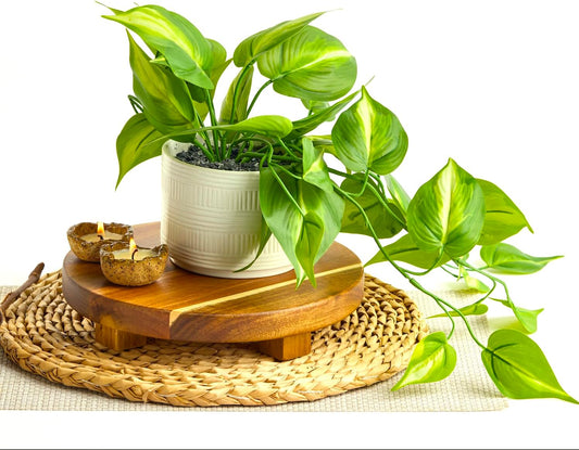 Dark Green Fake pothos | Fake Plant for Shelf Decor | Artificial Trailing Ivy Plant with 5" Wide Ceramic Pot | Faux pothos | Feaux Pothos | Bathroom and Kitchen Decor