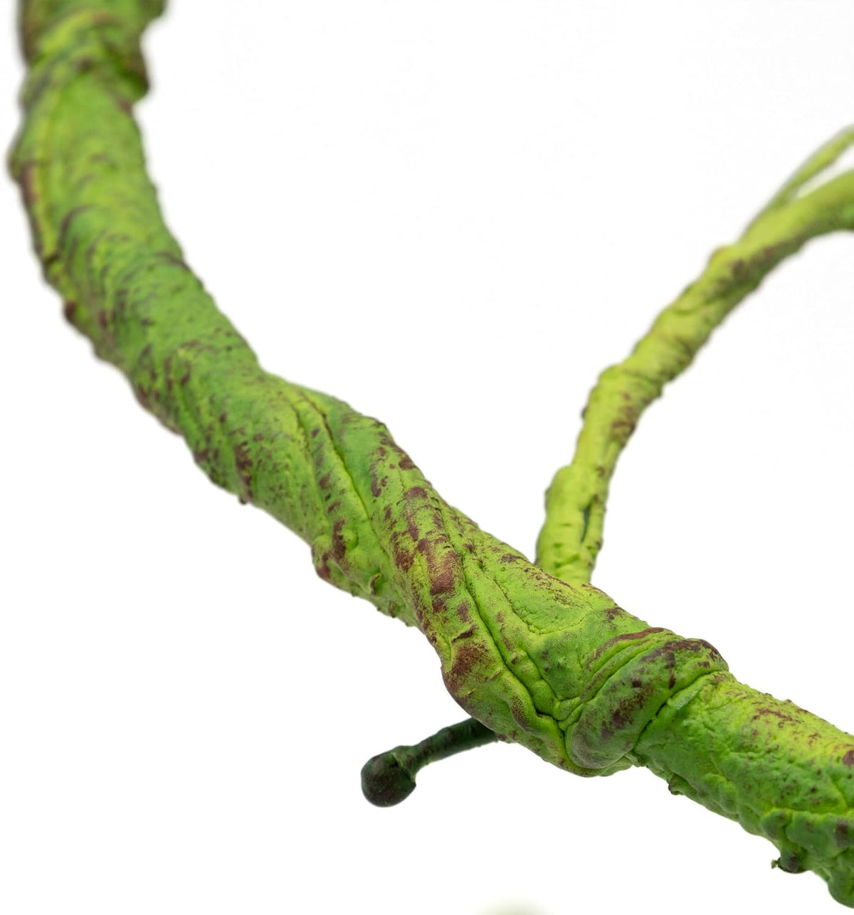 Ultimate Vine for Terrarium Habitat (Brown)