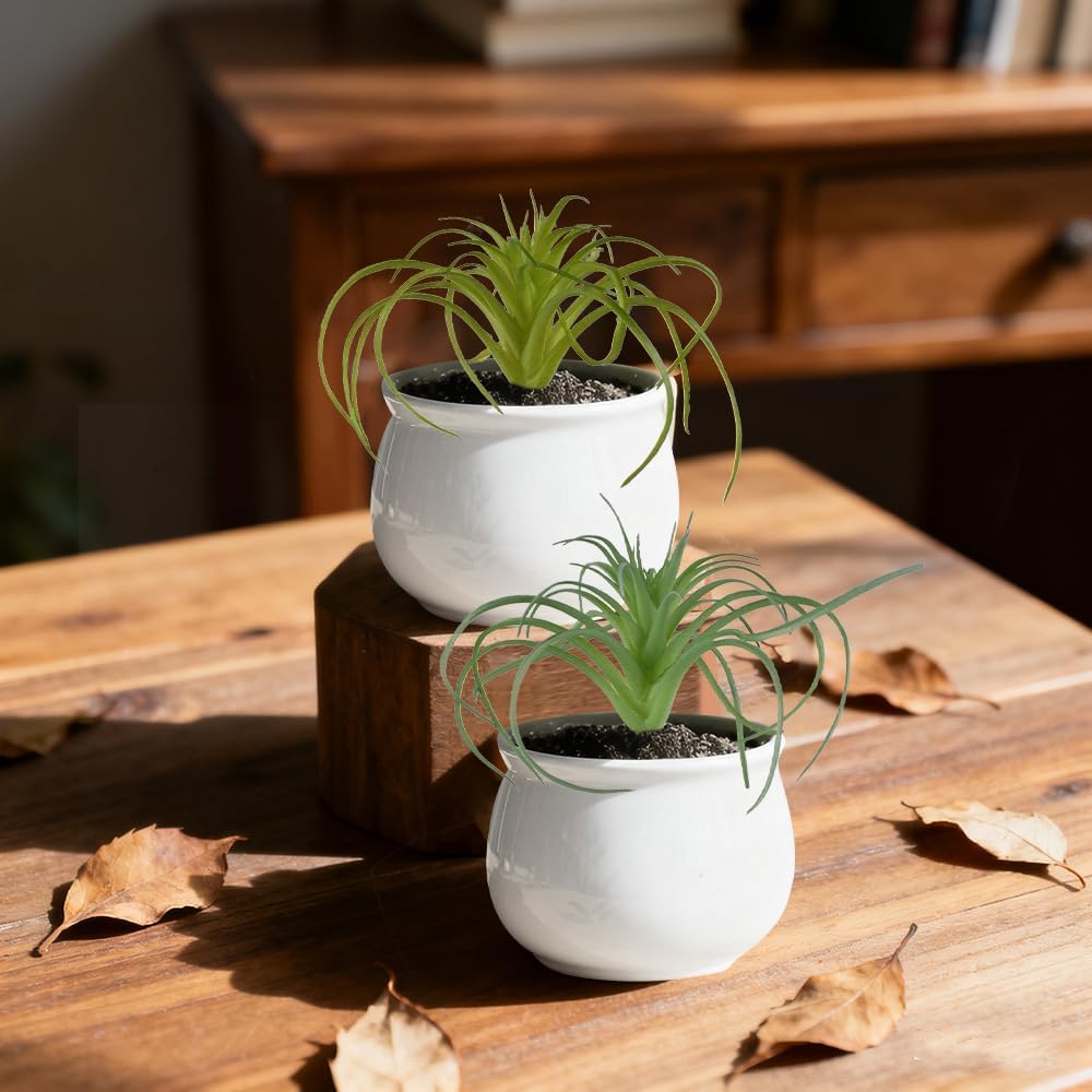 Artificial Succulents Plants 4PCS, Faux Succulents Unpotted Small Tillandsia Fake Succulent for Craft Lifelike Air Plants Floral Decor for Greenhouse Party, Garden & Outdoor