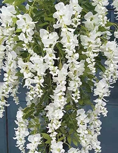 Gorgeous & Unique 5 Feet Blooming Artificial Silk Creamy White Wisteria Tree with Twisted Trunks, in Nursery Pot, Feel Real Technology