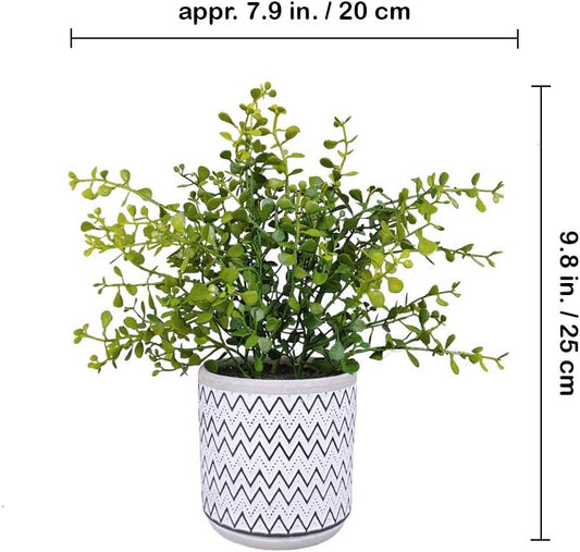 2 Pack Small Potted Eucalyptus Plant Artificial Plants Green Boxwood Rosemary Greenery in Modern Concrete Plant Pots