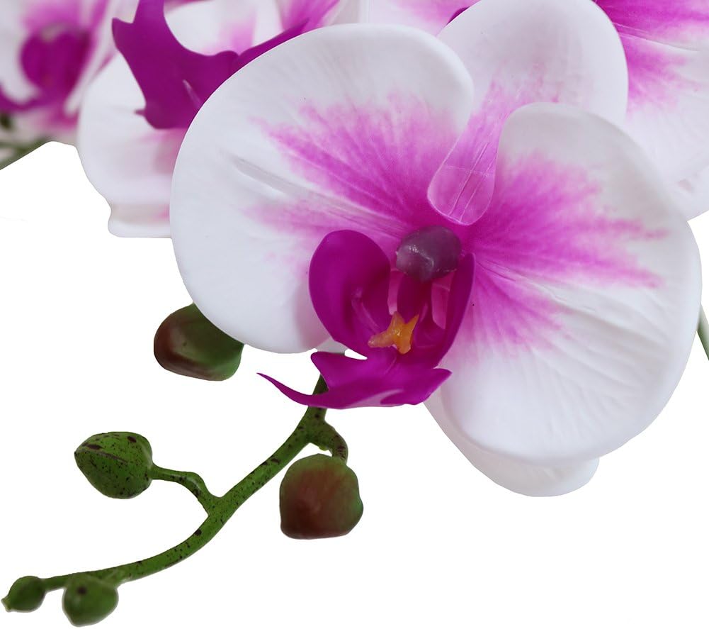38 Inch Artificial Phalaenopsis Flowers Branches Real Touch (Not Silk) Orchids Flowers for Home Office Wedding Decoration,Pack of 2 (White)