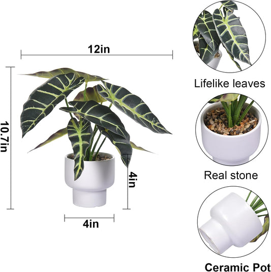 Artificial Plants in Ceramic Pot Fake Potted Plant Faux Alocasia Begonia Calathea Plants for Home Office Bathroom Table Décor