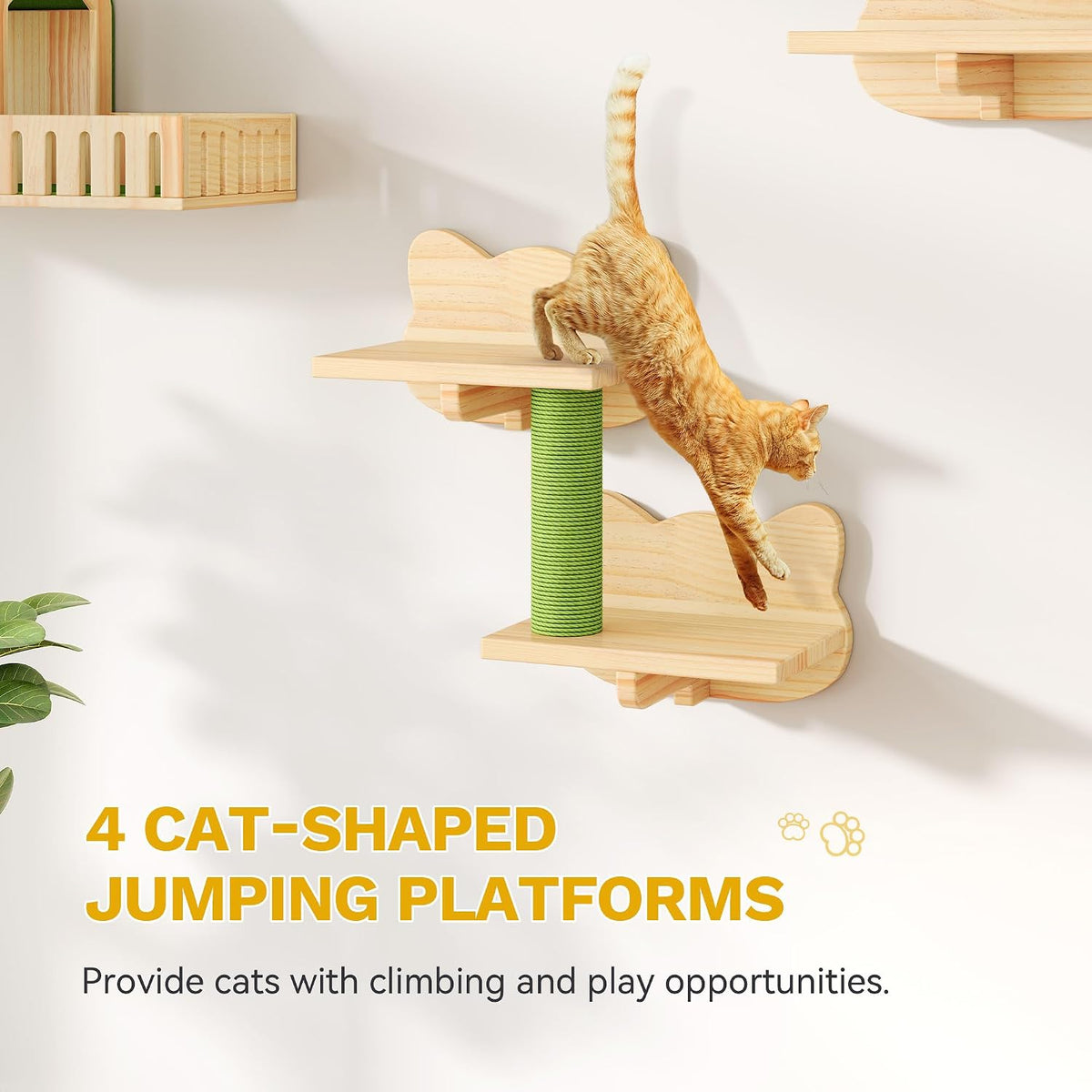 Cat Wall Shelves