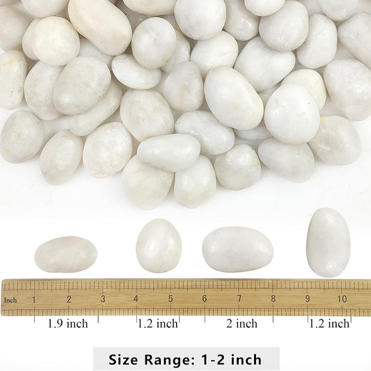 YISZM 5lbs White River Rocks, 1-2 Inch Natural Pebbles for Indoor Plants, High Polished Decorative Stones Vase Filler Fish Tank Aquariums Landscaping Garden Outdoor and Indoor DIY