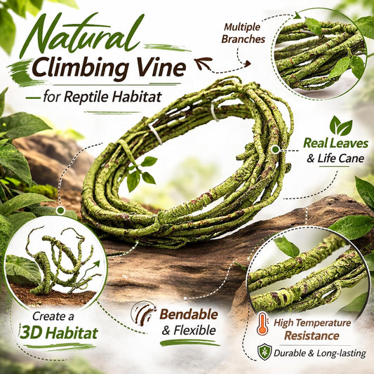 Reptile Vines, Flexible Jungle Climbing Vines Terrarium Plastic Plants and Leaves Tank Accessories Decor for Gecko Snake Lizard Bearded Dragon Hermit Crab Frog