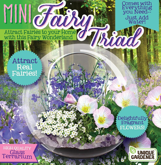Cactus Succulent Glass Terrarium Starter Kit from - Grow Your Own Indoor Desert Terrariums - Includes Live Cacti Plants and Easy Setup with Complete Terrarium Supplies