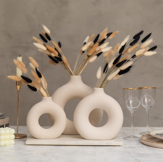 100 Stems Bunny Tails Pampas Grass Dried Flowers