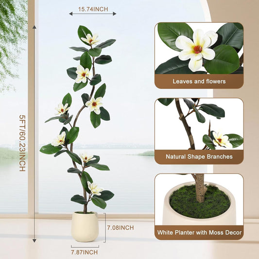 5FT Tall Lifelike Artificial Magnolia Tree with 7 Pcs Magnolia Flowers in White Planter Pot, Rubber Tree Faux Plants Indoor Artificial Plants & Flowers for Home Office Living Room Decor