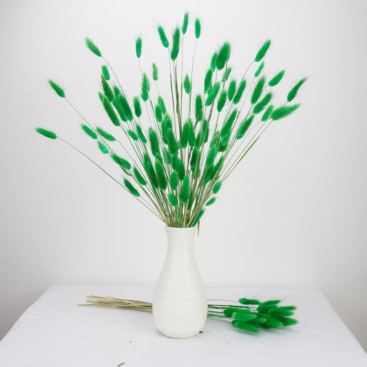 100 Pcs Green Bunny Tails Dried Flowers