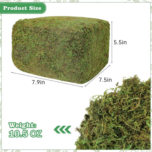 17.6 OZ Large Capacity Artificial Moss for Potted Plants,Natural Fake Moss Grass for Plants Indoor,Craft and Greenery Bulk for Hamsters(Fresh Green)