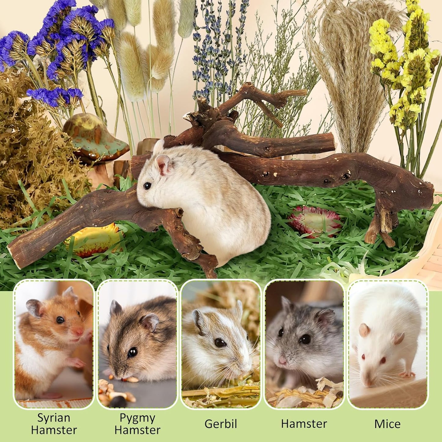 2Pcs Hamster Climbing Branches Decor 11.8in Rat Tree Logs Toy Wooden Gerbil Habitat Ornament Small Animal Cage Accessories with 31Pcs Natural Flower Hamster Mate Herbs