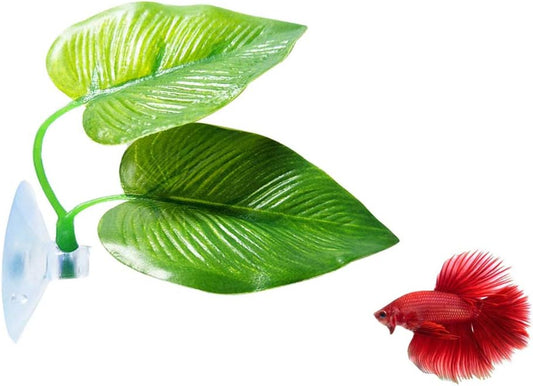CousDUoBe 2 Pack Betta Fish Leaf Pad Improves Betta's Health by Simulating the Natural Habitat - Natural, Organic, Comfortable Rest Area for Fish Aquarium Ornaments