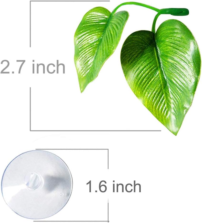 CousDUoBe 2 Pack Betta Fish Leaf Pad Improves Betta's Health by Simulating the Natural Habitat - Natural, Organic, Comfortable Rest Area for Fish Aquarium Ornaments