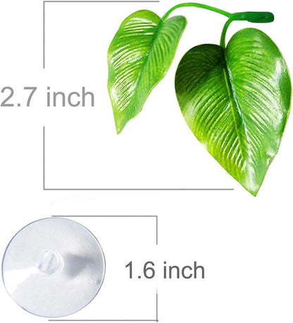 CousDUoBe 2 Pack Betta Fish Leaf Pad Improves Betta's Health by Simulating the Natural Habitat - Natural, Organic, Comfortable Rest Area for Fish Aquarium Ornaments