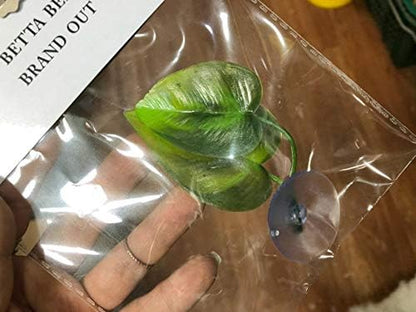 CousDUoBe 2 Pack Betta Fish Leaf Pad Improves Betta's Health by Simulating the Natural Habitat - Natural, Organic, Comfortable Rest Area for Fish Aquarium Ornaments